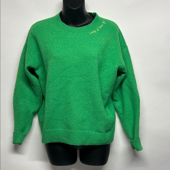 Crayola Sweaters - Green Crewneck Sweater Crayola Kohl’s size small lucky to know you